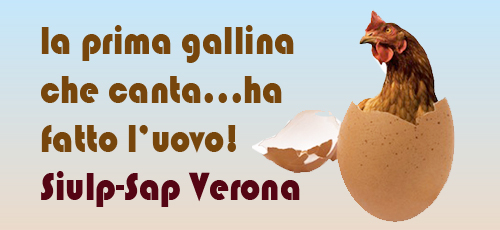 gallina2