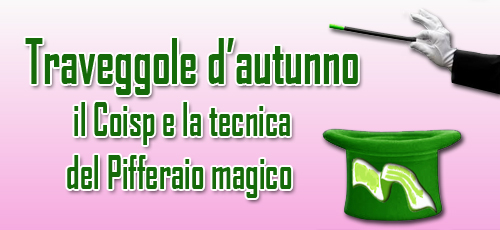 magoco