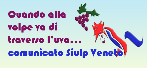 volpeuva