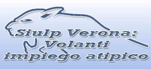 volantimpiego