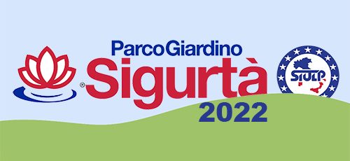 sigurta22 sigurta22